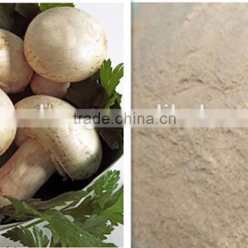 mushroom fungal chitosan for fat binder