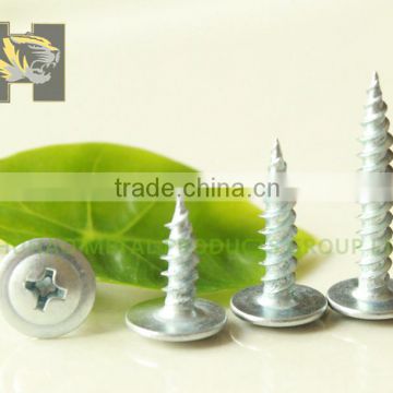 Export Europe Market galvanized modified truss head self tapping screw