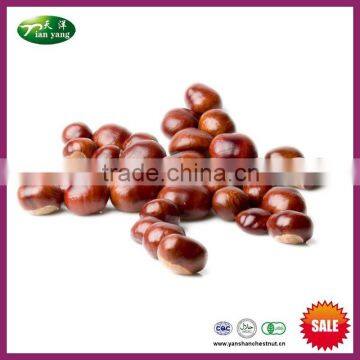 2015 New Crop Best Sale Organic Yanshan Fresh Chinese Chestnut