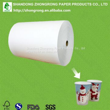 PE coated paper cup paper manufacturer