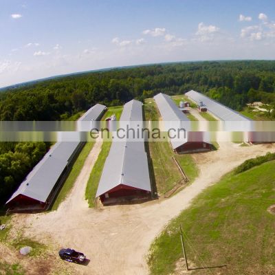 China light frame steel structure poultry farm business plan shed design building in Marathi India
