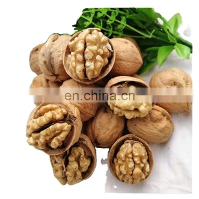 promotional factory natural dry paper skin walnuts ceviz akhrot for wholesale