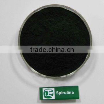 Wholesale Spirulina,Best Price of Spirulina Seaweed