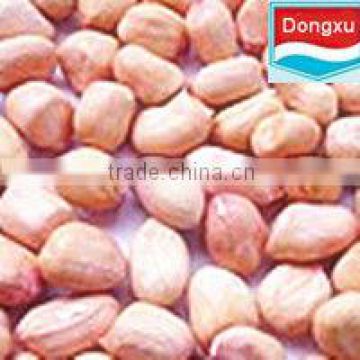 chinese peanut kernel 50/60