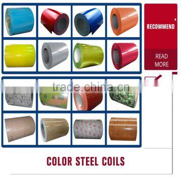 prepainted/ color coated galvanized steel coil and sheet PPGI