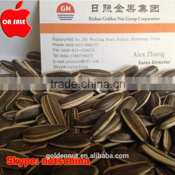 Chinese sunflower seeds 24/64