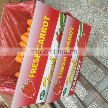 Sweet Fresh Carrot With Competitive Price