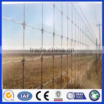 cattle agriculture field fence used for deer, cattle, horse