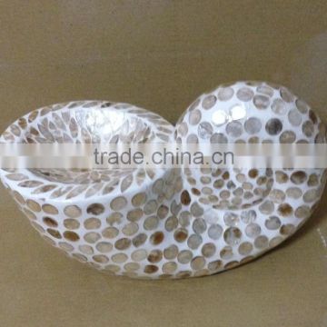 High quality best selling Mother of pearl snail image from Vietnam