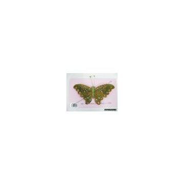 artificial butterfly