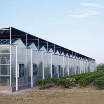 PC Sheet Greenhouse for Saudi Arabia Vegetable Production