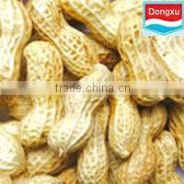 chinese peanut in shell