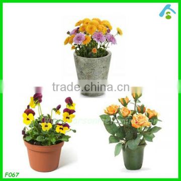 cheap bulk flower pots , cheap plastic flower pots