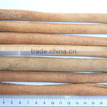 China High Quality 20cm cinnamon