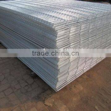 High Quality hot sale double wire fence/nylofor 2d
