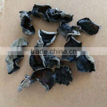 Dried Black Fungus Fungus Black Whole from China