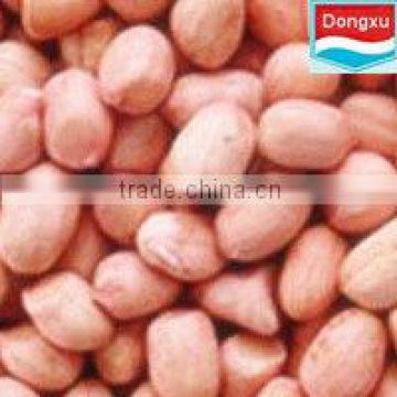 peanut kernel in china