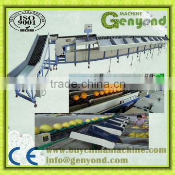 straight automatically conveying apple grading machine