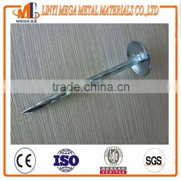 factory wholesale screw roofing shank nail and smooth shank roofing nail