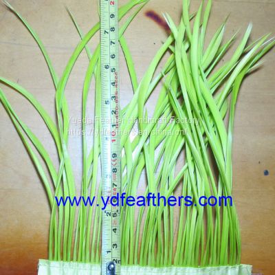 Stripped Green Goose Biots Fringe for Wholesale from China
