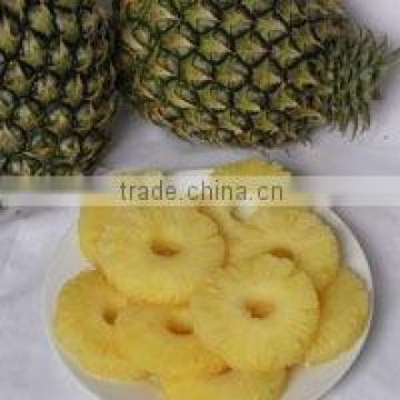 canned pineapple (HACCP & ISO)