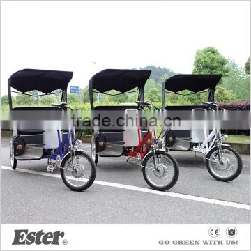 Passenger Electric assist trike for adult