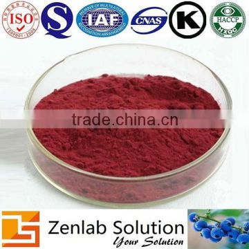 Lingonberry anthocyanins powder