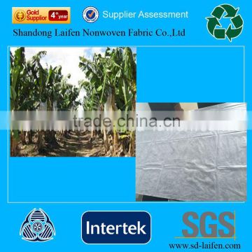 100% Pp Spunbond Fabric China Non Woven Fabric Banana Cover