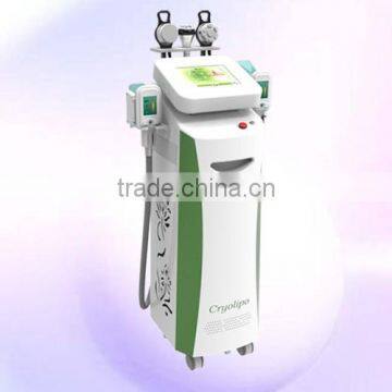 Vertical Cryolipolysis Fat Freezing Cryolipolysis Machine Weight Loss Beauty Spa/ Clinic For Sale Reduce Cellulite