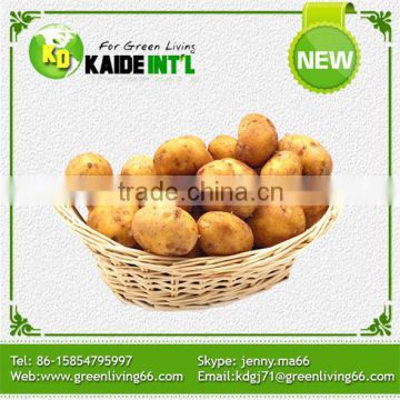 2016 New Best Fresh Potato Potatoes
