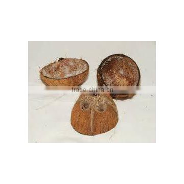 High Quality Decilious Cheap india coconut shell