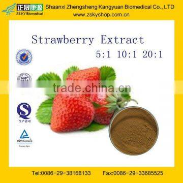 High Quality Strawberry Powder