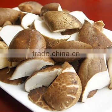 Free Sample Shiitake Mushroom Extract Powder