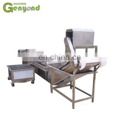 green peas frozen processing machines/strawberry quick freezing production line/industrial vegetable and fruit machine