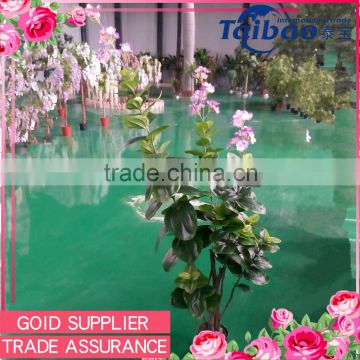 Trade assurance supplier winter jasmine tree indoor evergreen ornamental plants