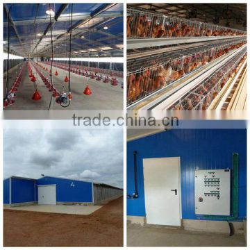 design, production and installation turnkey project chicken farm