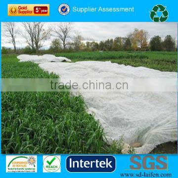 100% granule PP spunbonded nonwoven fabric for agriculture as weed control mat, anti grass cloth, plant cover etc.