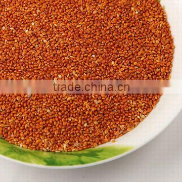 red millet bird and fish feed machine clean quality China origin
