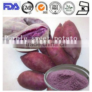 2014 instant Purple sweet potato powder
