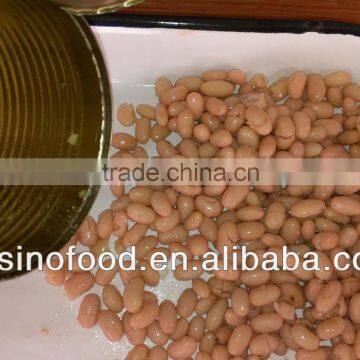 White Kidney Beans in Brine 400g*24 Specification