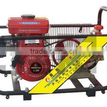 Insecticide Power Strecher Sprayer With Bracket CY-21D