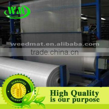woven cloth roll roll pp woven cloth / woven fabric pe roll /pe woven fabric pe ( pe tarpaulin)