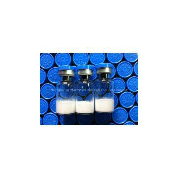Blue Top HGH High Quality HGH Factory Price