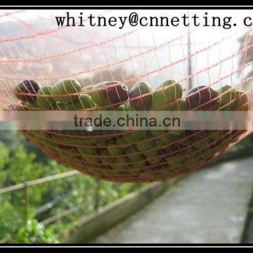 PE agriculture net for Olive Harvesting