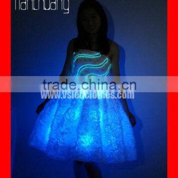 Luminous princess dress