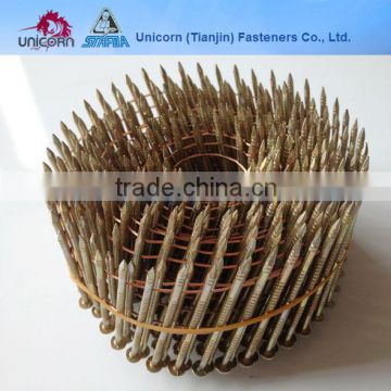 2inch length coil nais, coil nail for wood pallet