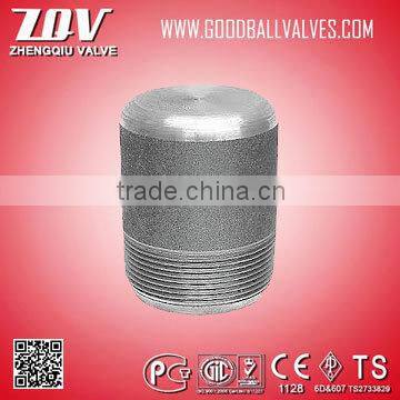China high quality pipe fittings forged fittings bull plug