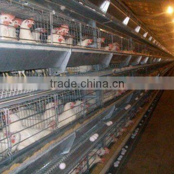 Uzbekistan high quality poultry egg layer chicken cage for sale