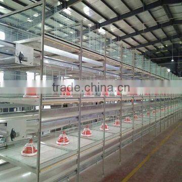 battery type high quality whole sale broiler cage with feeding machine