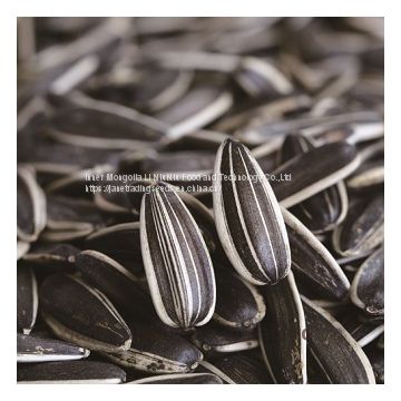 2017 Chinese Black Striped Sunflower Seeds